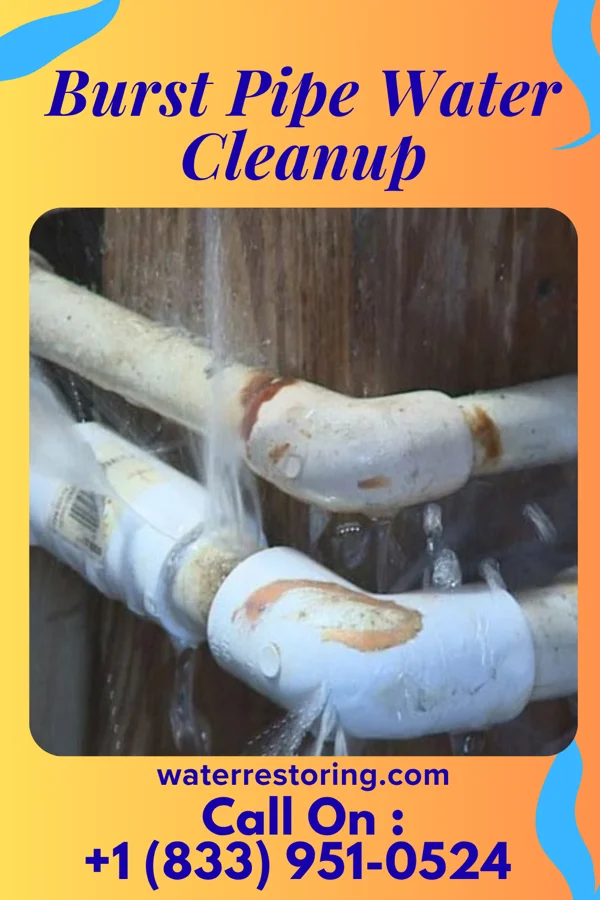 Burst Pipe Water Cleanup in East Canton, OH