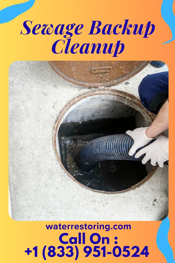 Sewage Backup Cleanup in East Canton, OH